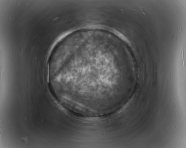 X0000085281223200703301909