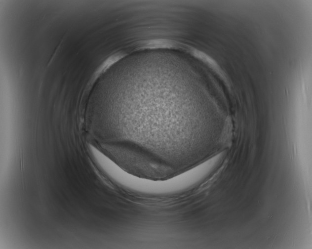 X0000085281225200703301909