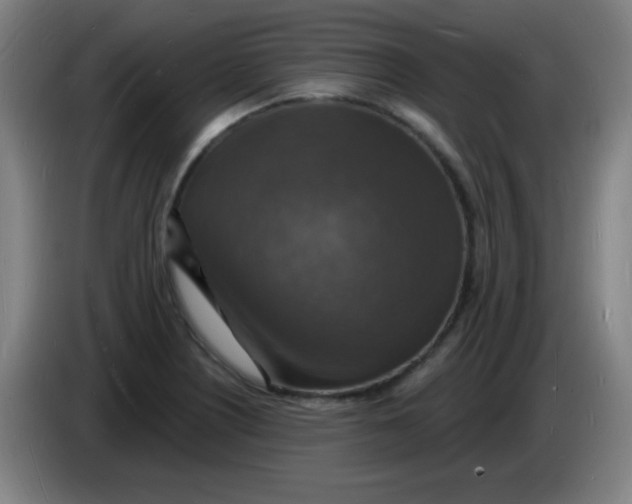 X0000085281226200703301909