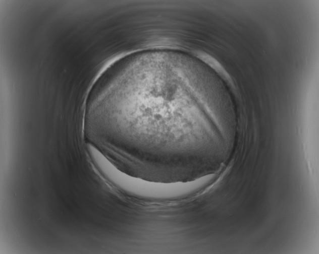 X0000085281228200703301909