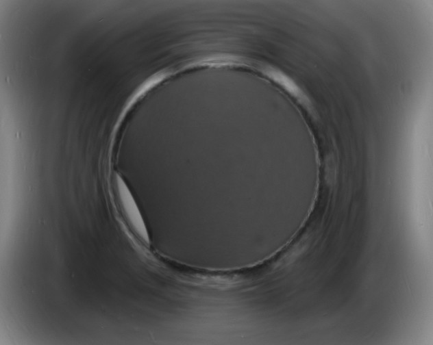 X0000085281229200703301909