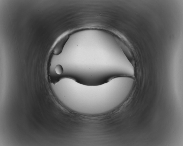 X0000085281230200703301909