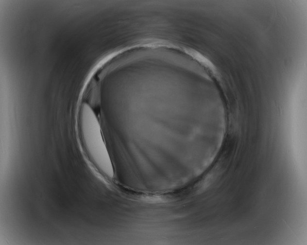X0000085281231200703301909