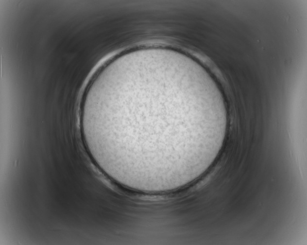 X0000085281232200703301909