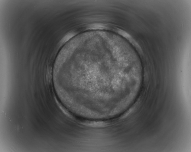 X0000085281233200703301909