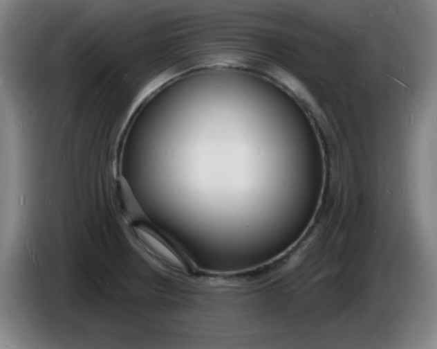 X0000085281234200703301909