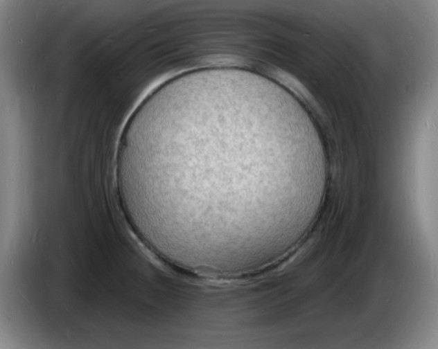 X0000085281236200703301909