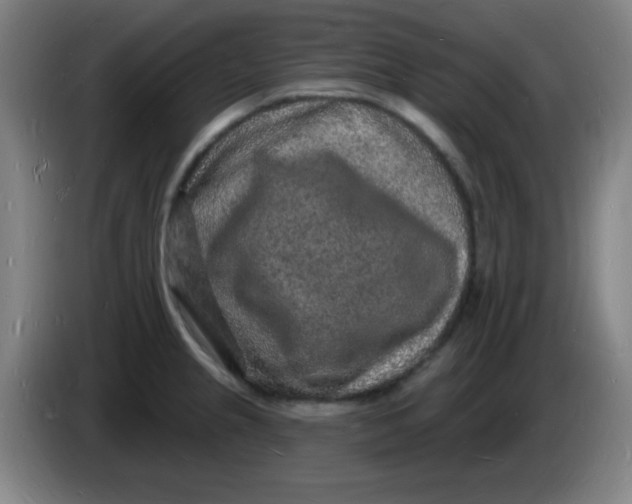 X0000085281237200703301909