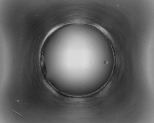 X0000085281238200703301909