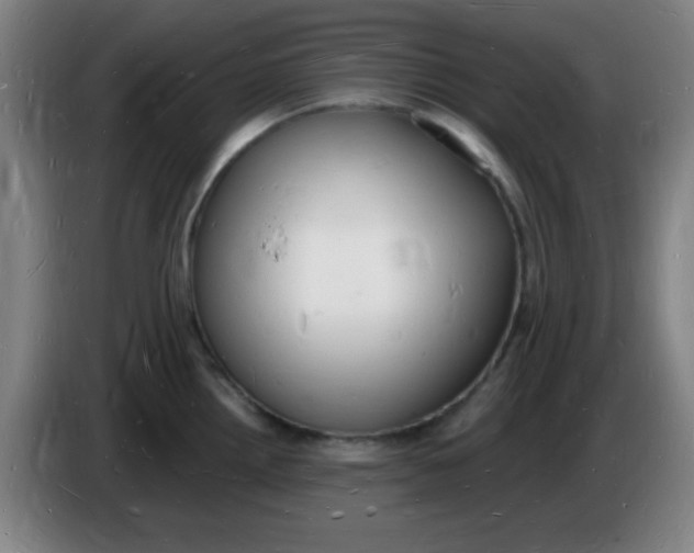 X0000085281242200703301909