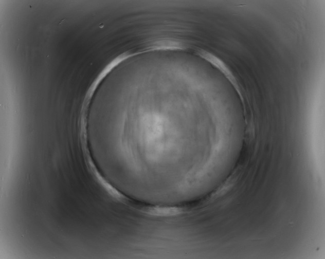 X0000085281243200703301909