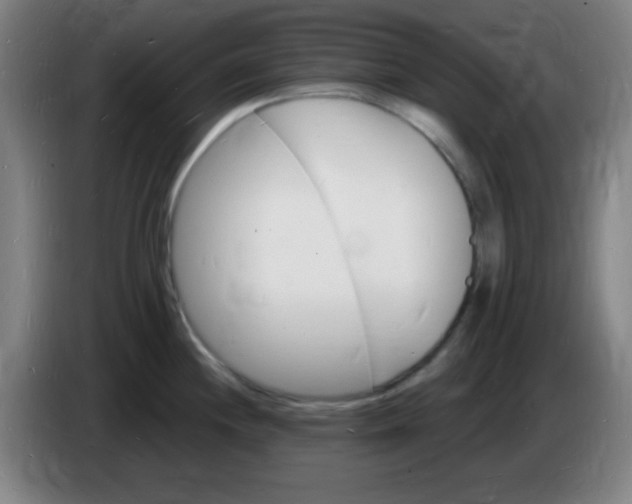X0000085281244200703301909