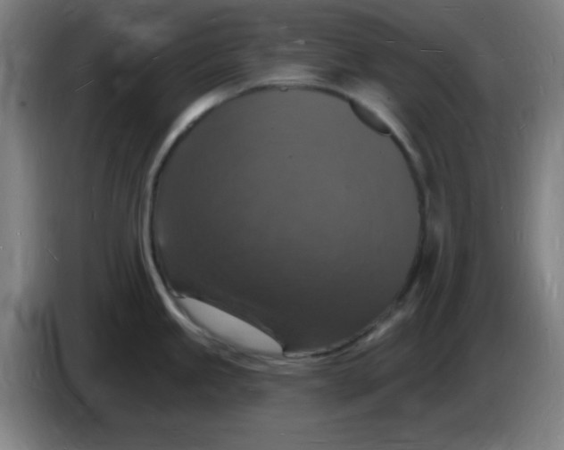 X0000085281245200703301909