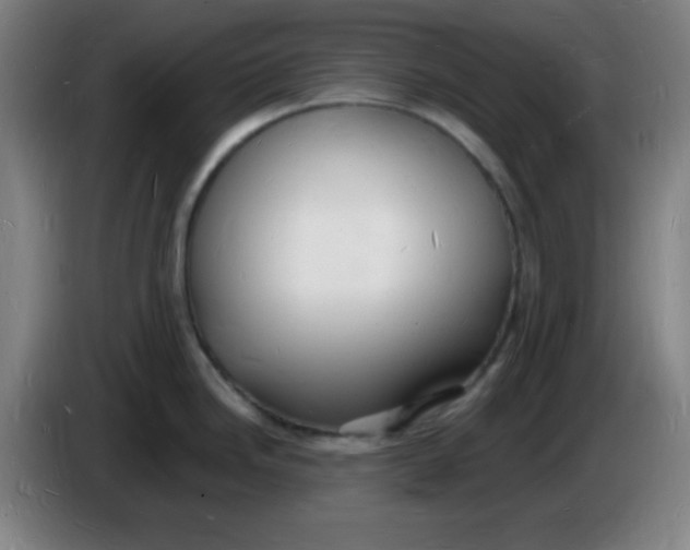X0000085281246200703301909