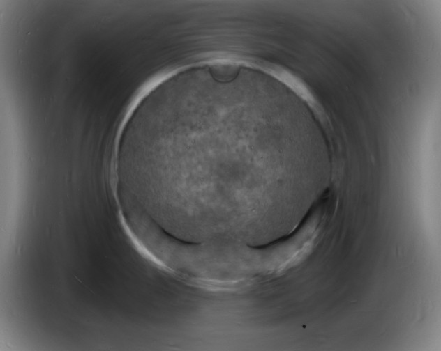 X0000085281247200703301909