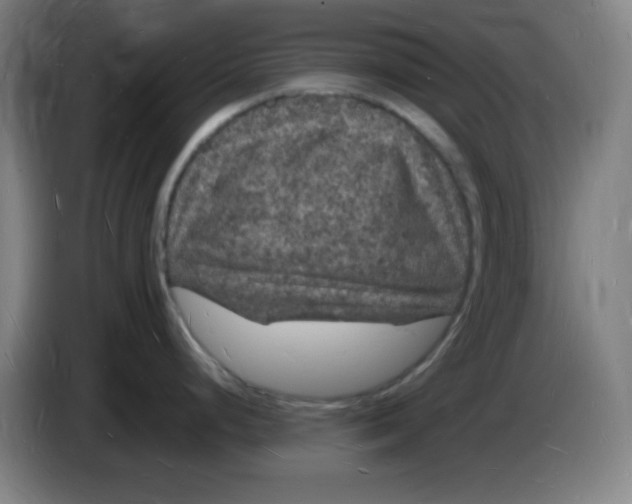 X0000085281248200703301909
