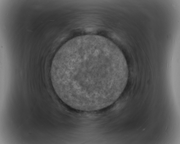 X0000085281249200703301908