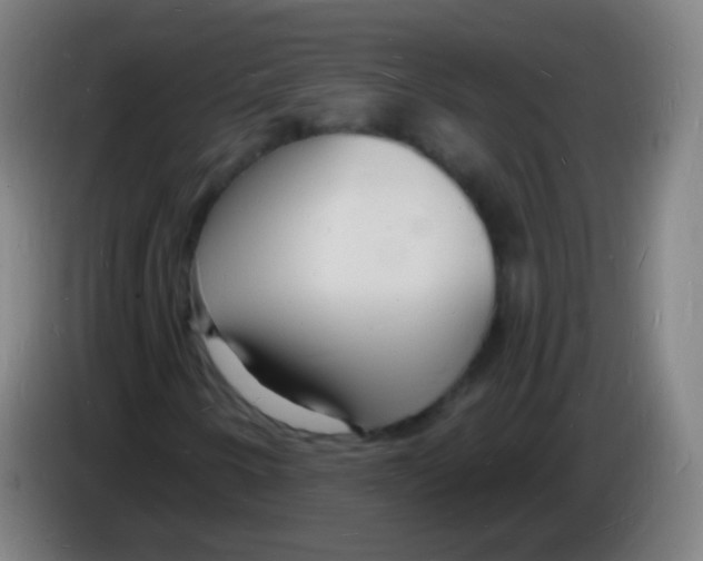 X0000085281250200703301908