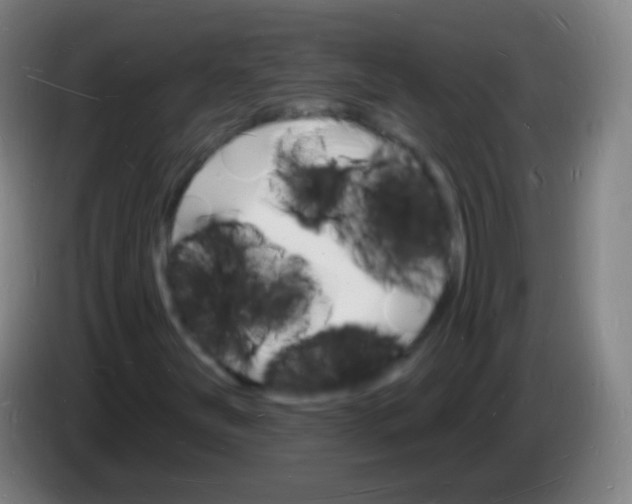 X0000085281251200703301908