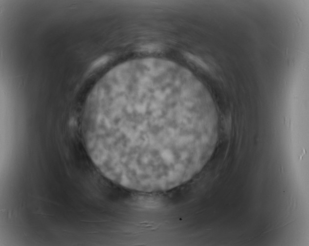 X0000085281254200703301908