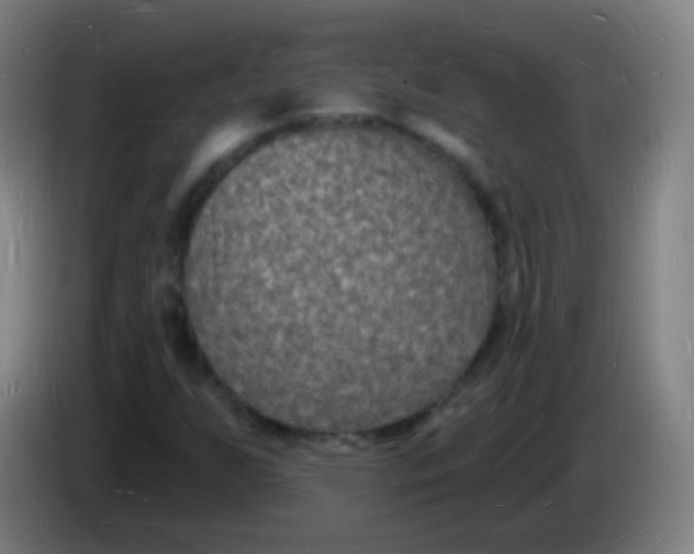 X0000085281255200703301908