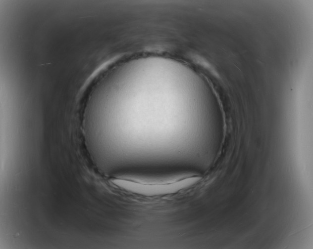X0000085281256200703301908