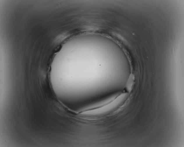 X0000085281257200703301908