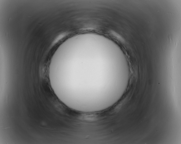 X0000085281258200703301908