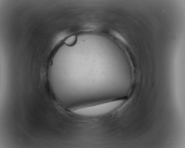 X0000085281259200703301908