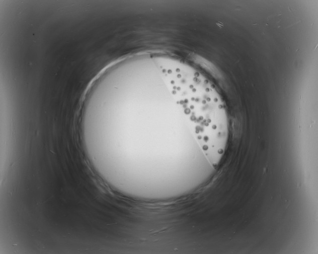 X0000085281260200703301908