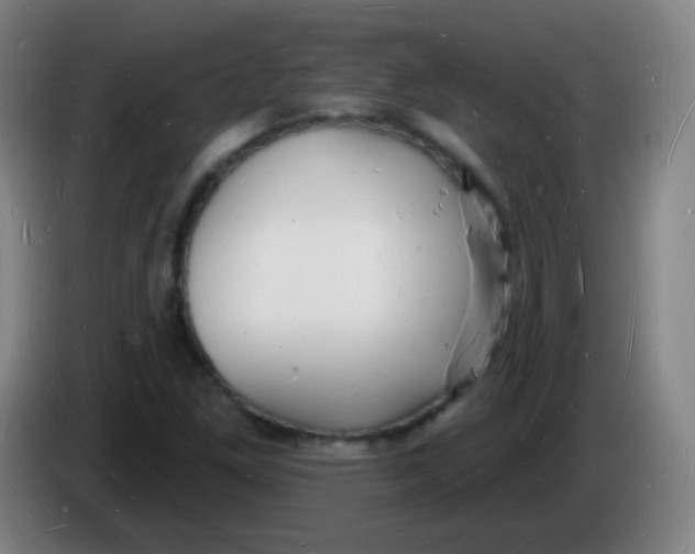 X0000085281261200703301908