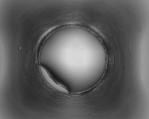 X0000085281262200703301908