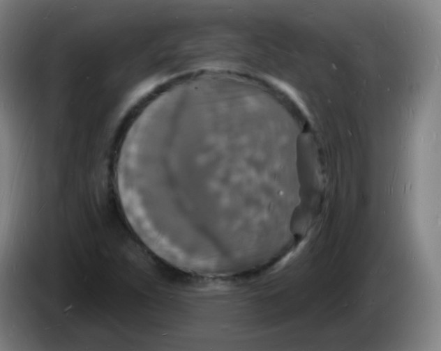 X0000085281263200703301908
