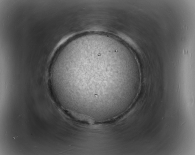 X0000085281264200703301908