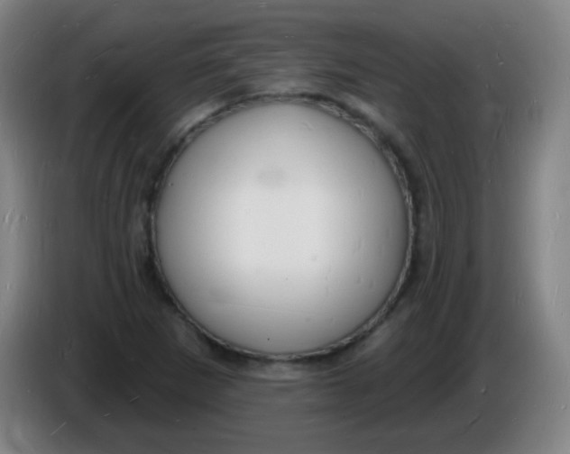 X0000085281265200703301908