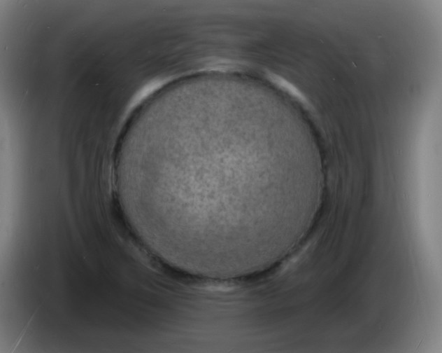 X0000085281267200703301908