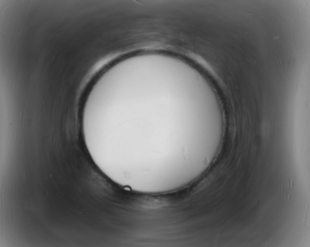 X0000085281270200703301908