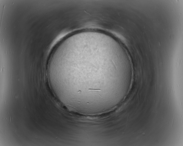 X0000085281271200703301908