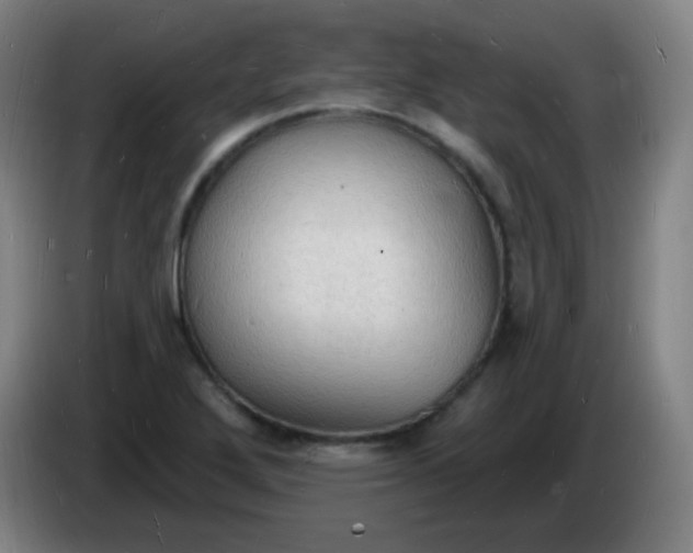 X0000085281272200703301908