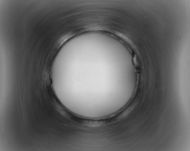 X0000085281273200703301908