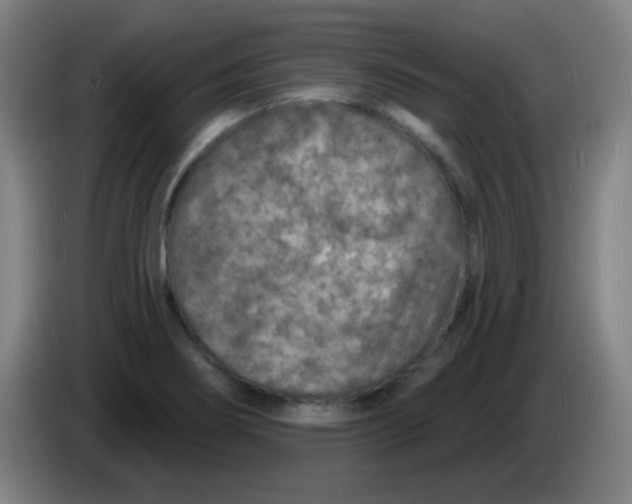 X0000085281274200703301908