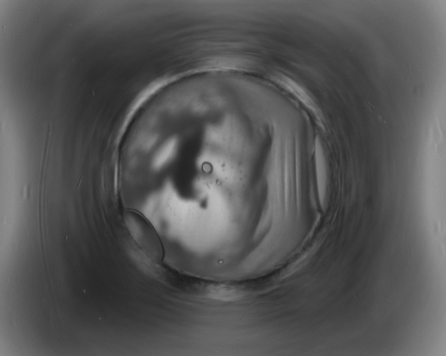 X0000085281275200703301908