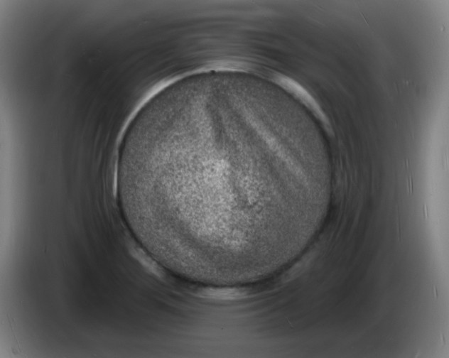 X0000085281276200703301908