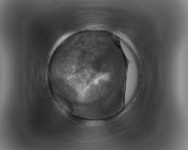X0000085281277200703301908