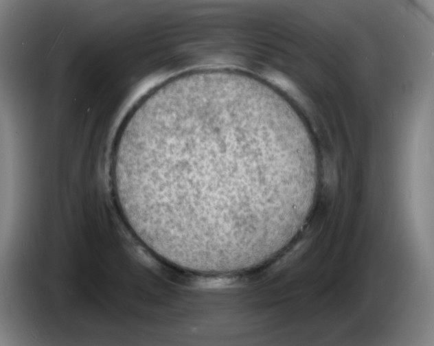 X0000085281278200703301908
