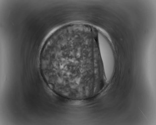 X0000085281279200703301908