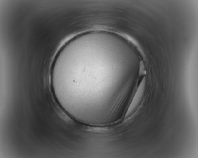 X0000085281280200703301908