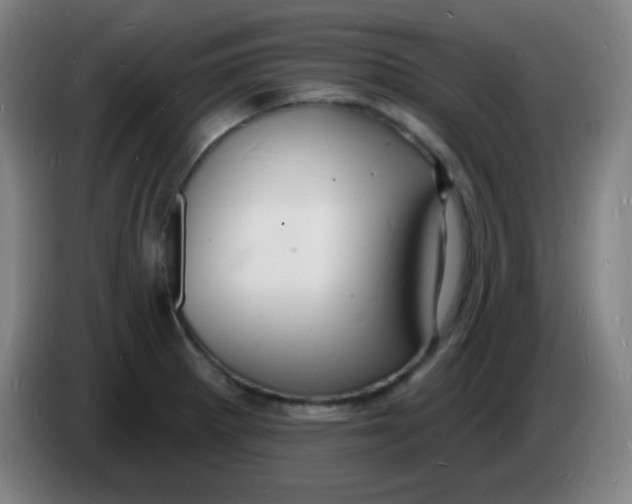 X0000085281281200703301908