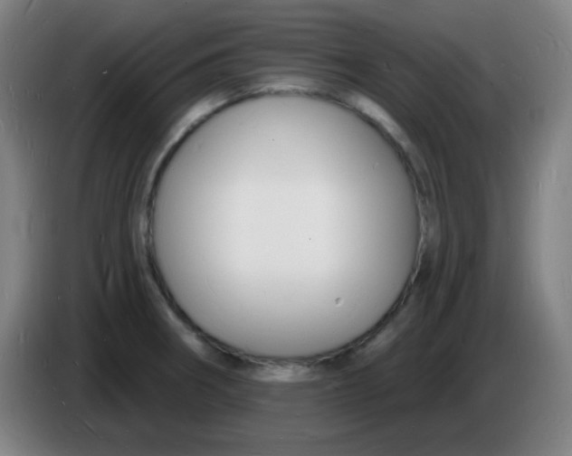 X0000085281282200703301908