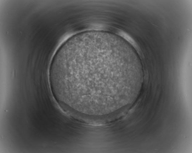 X0000085281283200703301908
